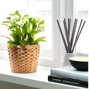 IKEA FRIDFULL Plant Pot 🪴